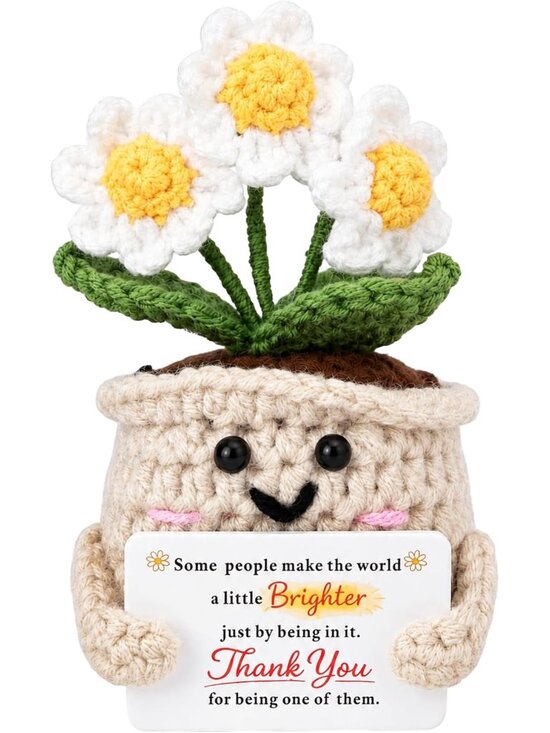 Accessories - Thank You Gifts for Women, Crochet Daisy Appreciation Gift, Handmade Flower Desk